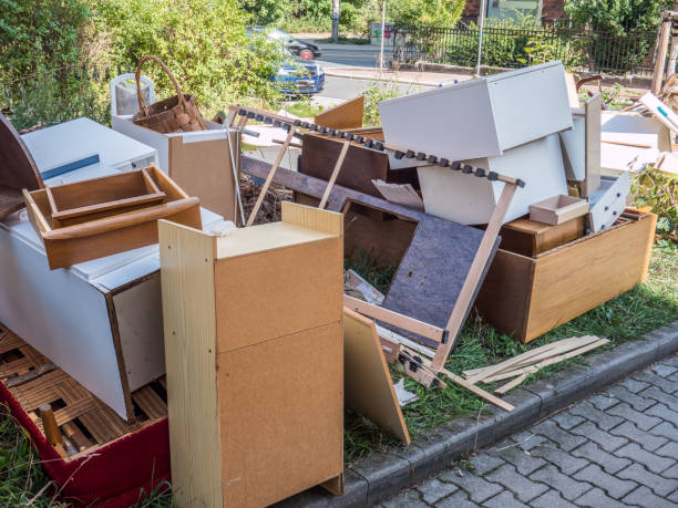 Best Household Junk Removal  in Earlvle, IL
